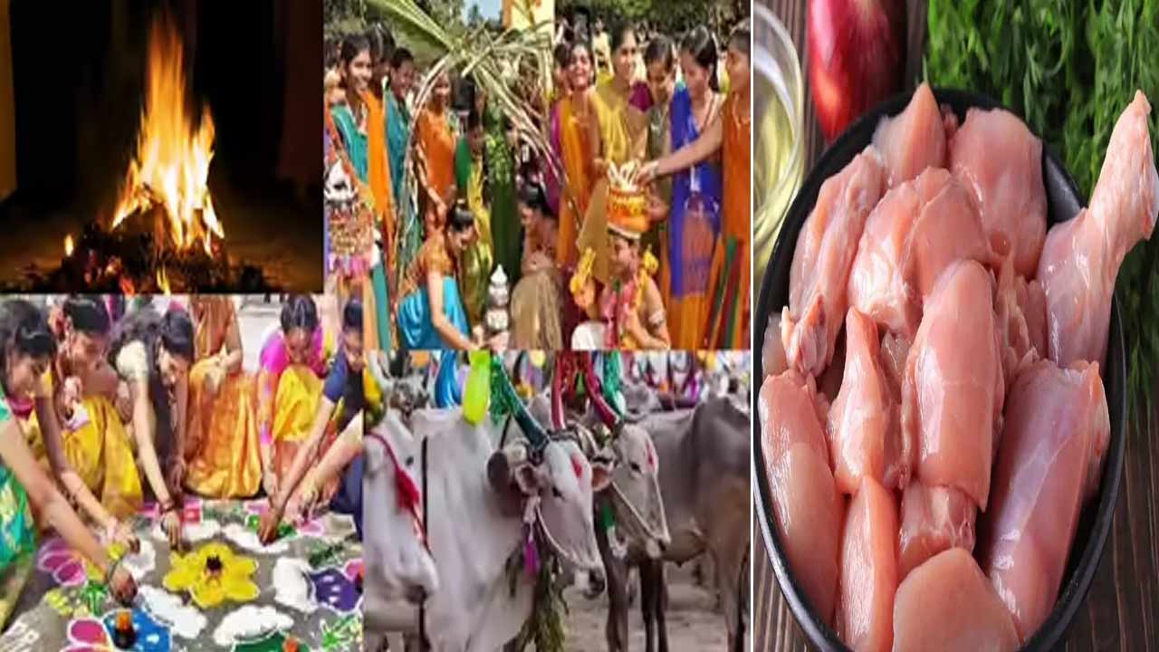 Chicken Prices: సంక్రాంతి పండుగకు చికెన్ ధరల షాక్.. ఇక కోడి కూర కలేనా?