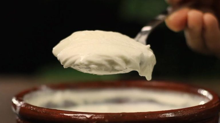 Curd In Winter: శీతాకాలంలో పెరుగు తినడం హానికరమా?.. అసలు నిజం ఏంటంటే?