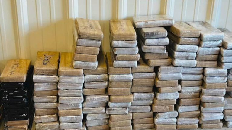 USA: భారీగా కొకైన్‌తో పట్టుబడ్డ భారతీయులు.. లక్ష మందికిపైగా అమెరికన్లను చంపేంత ప్రమాదకరం!