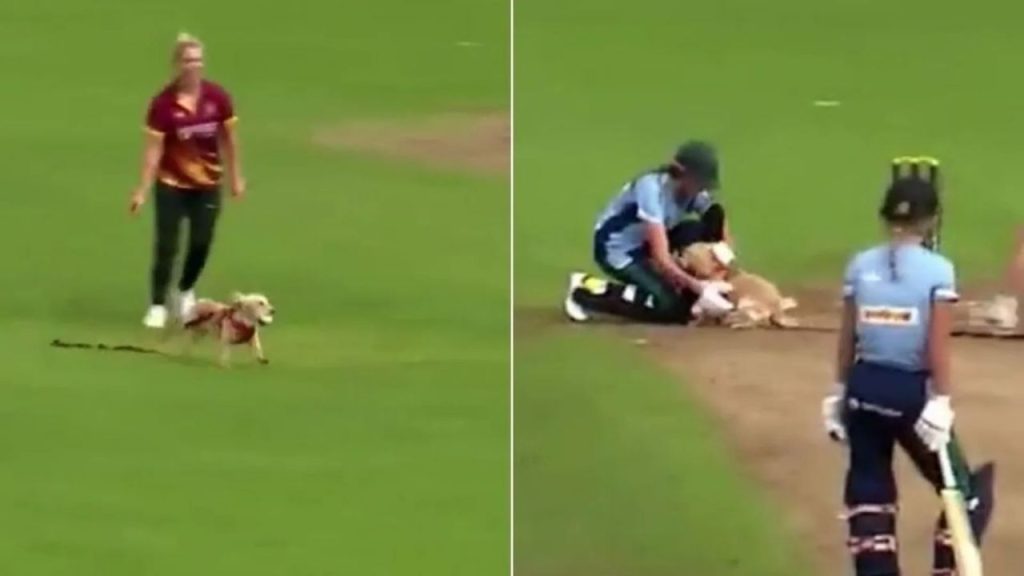 Funny Cricket Moment