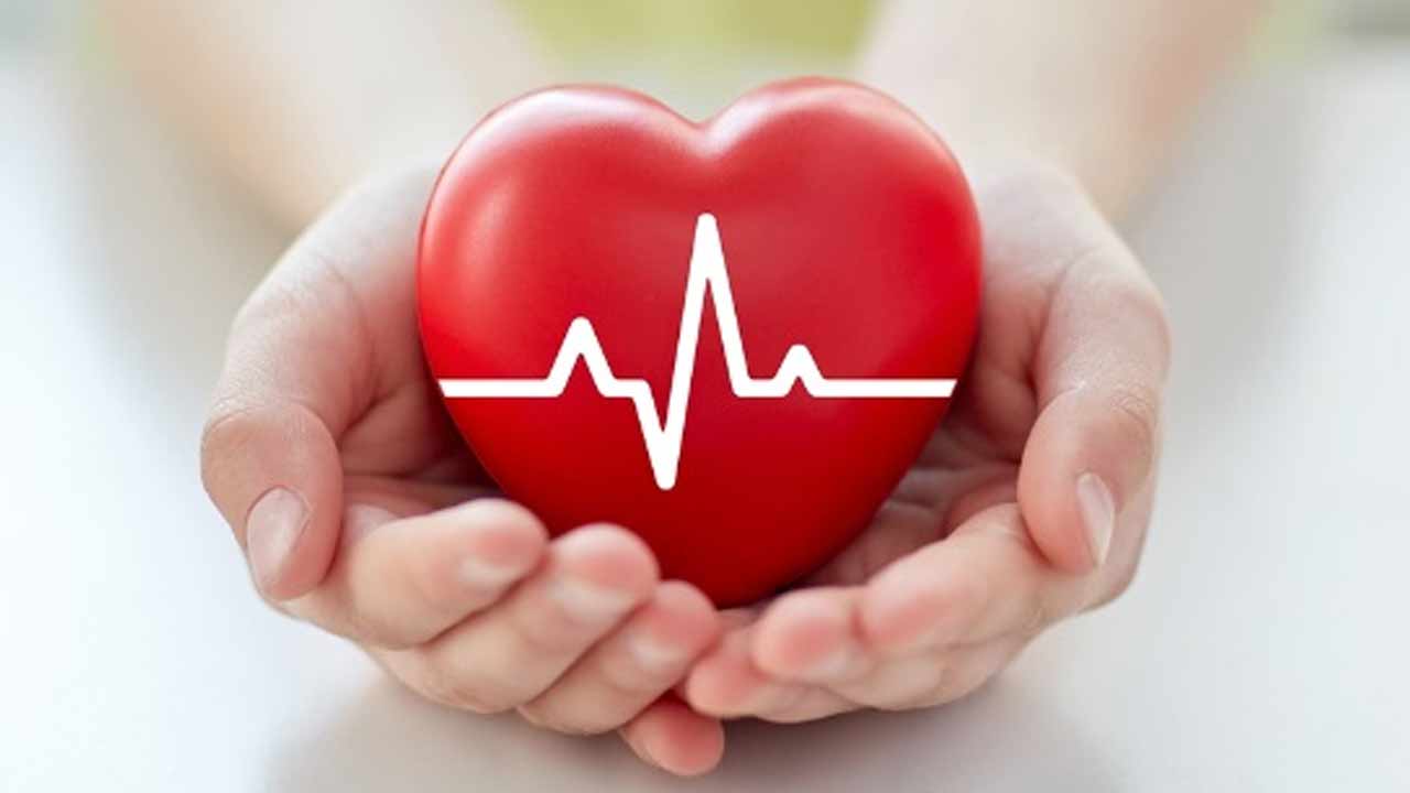 Heart Health in Winter: గుండె సమస్యలు ఉన్నాయా..? తీసుకోకూడని ఫుడ్‌ ఇదే..
