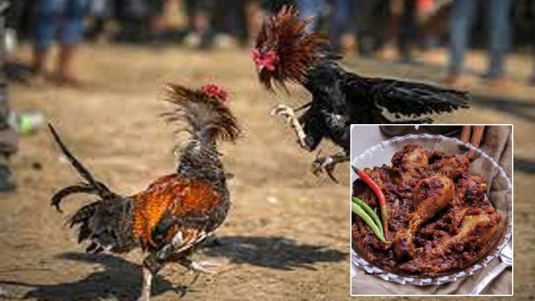Huge Demand for Kosa Meat: ఓడిపోయిన పందెం కోళ్లకు ఫుల్‌ డిమాండ్‌..