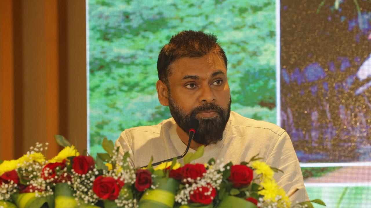 Deputy CM Pawan Kalyan: తీర ప్రాంతానికి మడ అడవులు రక్షణ గోడ.. వాటి పెంపకమే లక్ష్యం..