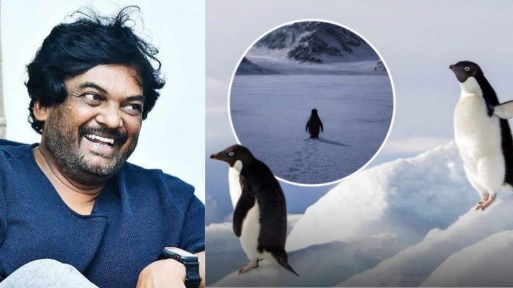 Penguin Story, Poori