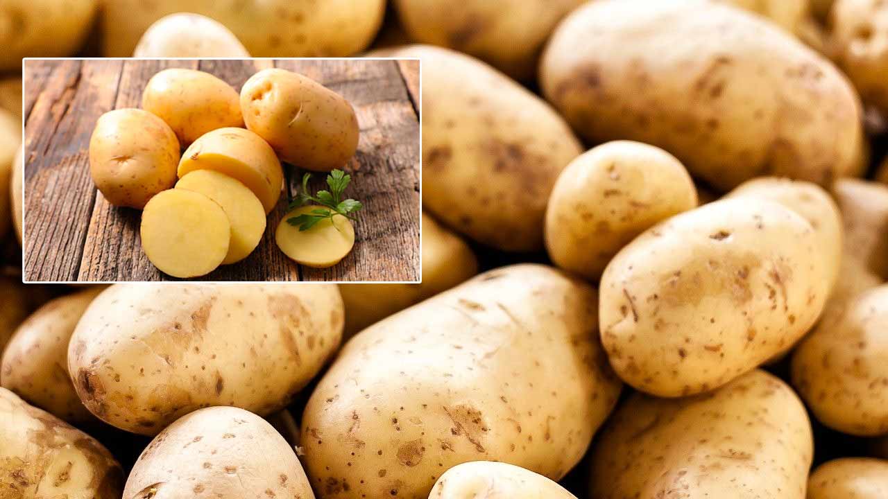 Potatoes: బంగాళాదుంపతో ప్రయోజనాలు..! నాలుగు ప్రధాన అపోహలు..