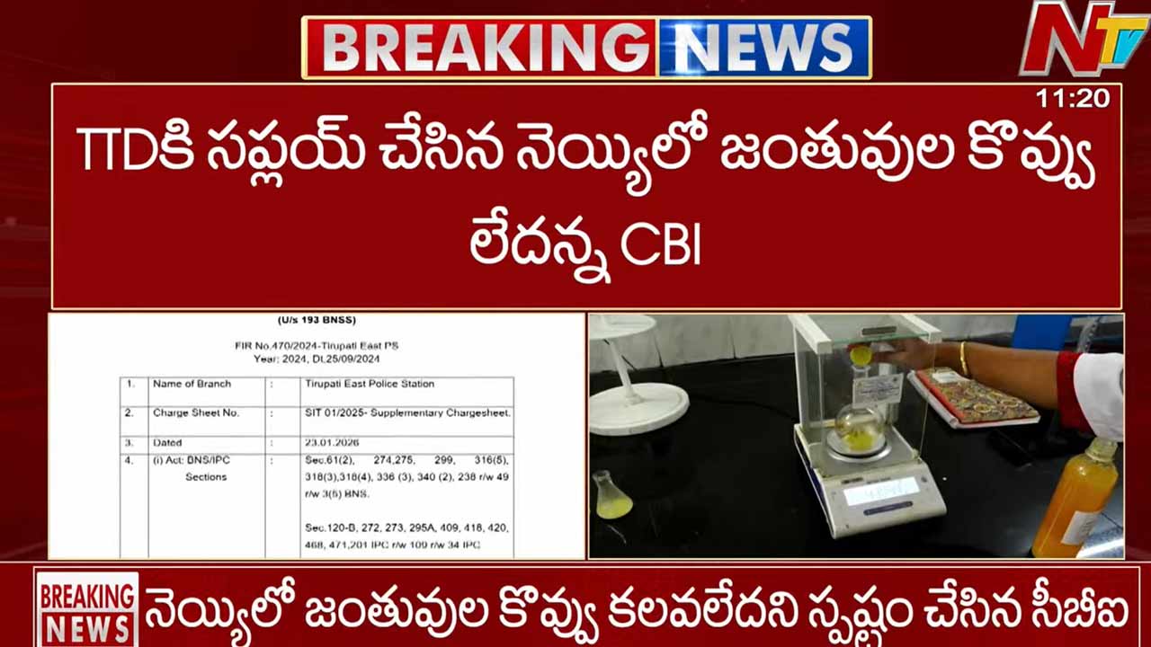 cbi clears tirumala laddu ghee adulteration allegations confirms no animal fat