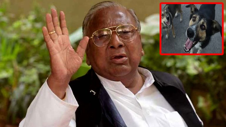 Hanumantha Rao: కుక్కలు ఓకే.. భర్తలను భార్యలు చంపుతున్నారుగా.. వారికి వీహెచ్ కీలక సూచనలు..