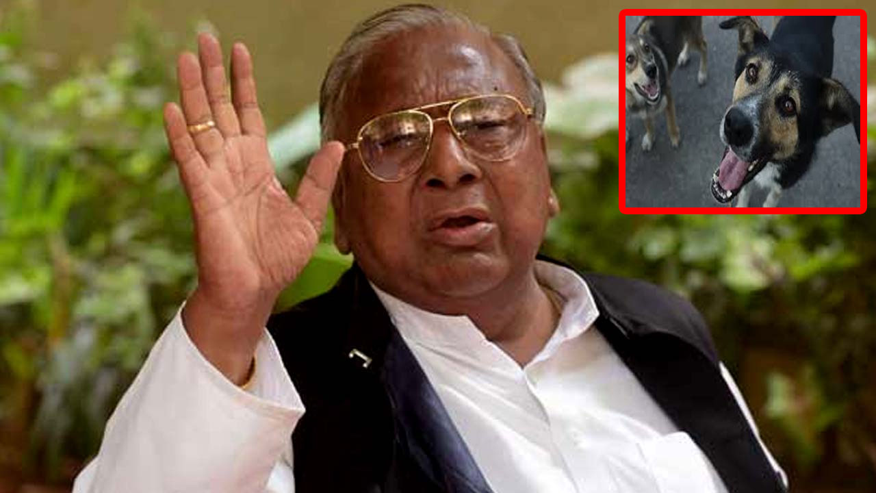 v hanumantha rao comments renu desai street dogs supreme court verdict
