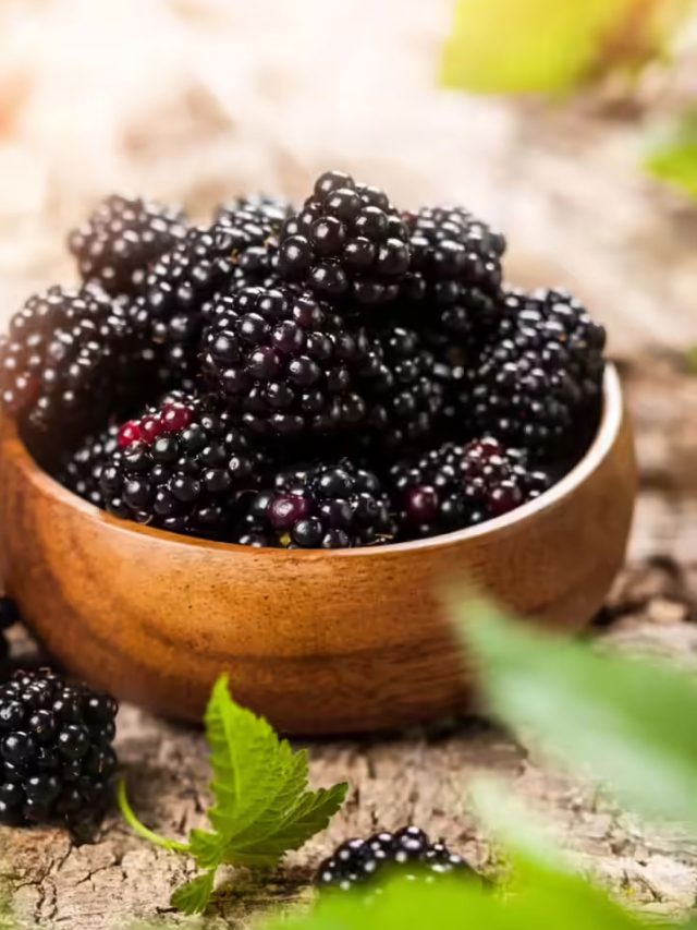 రక్తహీనత నుంచి గుండె ఆరోగ్యం వరకూ: ముల్బెర్రీ పండ్ల అద్భుత లాభాలు.!