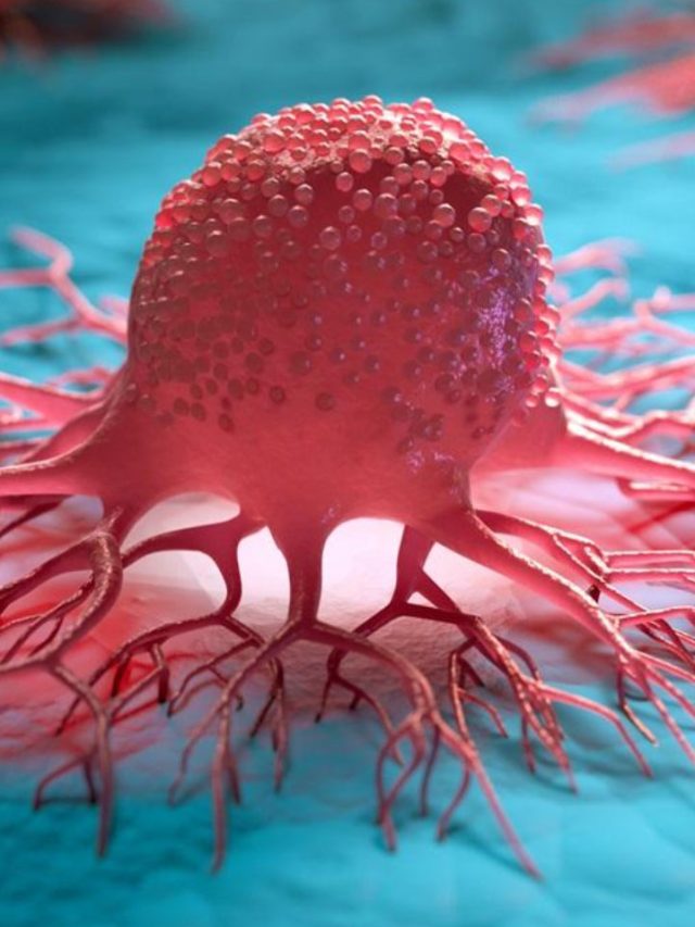 క్యాన్సర్ రాకుండా ఉండాలంటే.. ఈ 10 ఆహారాలు తప్పించండి!