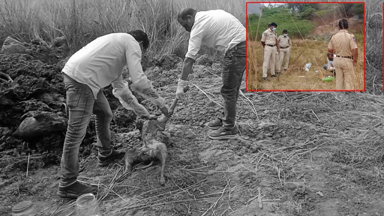 Hanumakonda: సర్పంచ్ ఎన్నికల హామీల్లో భాగంగా వీధి కుక్కలను హతమార్చిన వైనం.. సర్పంచ్ ల పై కేసులు నమోదు