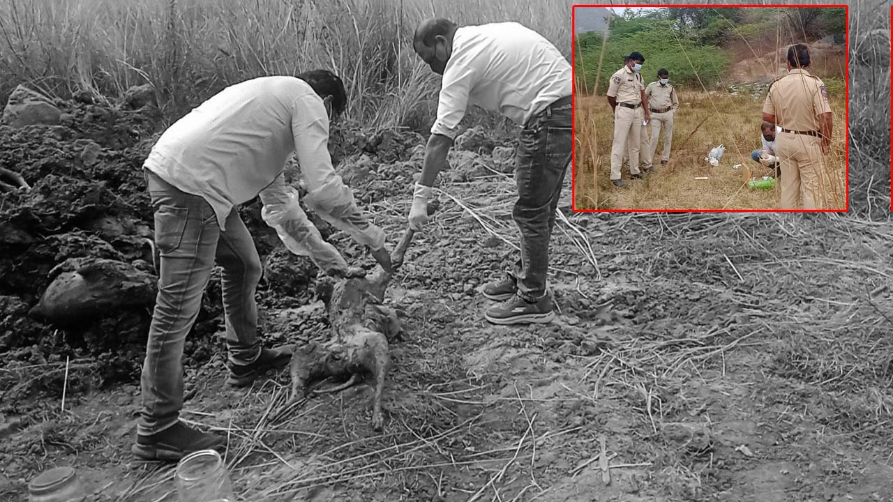 Hanumakonda: సర్పంచ్ ఎన్నికల హామీల్లో భాగంగా వీధి కుక్కలను హతమార్చిన వైనం.. సర్పంచ్ ల పై కేసులు నమోదు