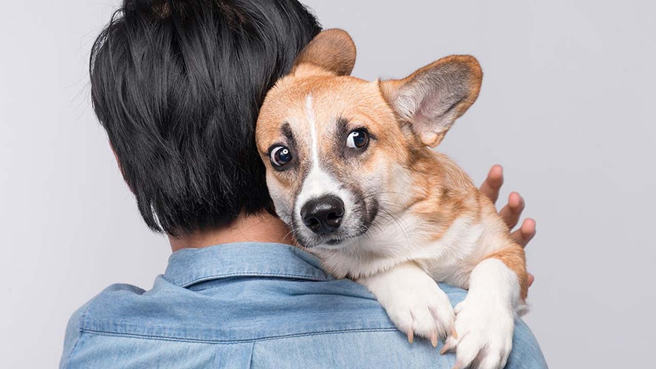 Interesting Facts : జంతువులకు ‘భయం’ వాసన తెలుస్తుందా..? మీలోని ఆందోళనను పసిగట్టే 8 జీవులు ఇవే.!