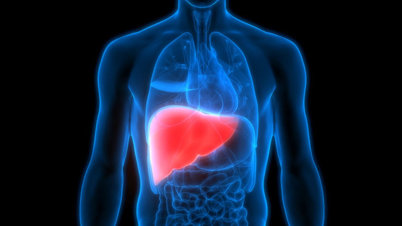 Liver Health: లివర్‌కు అసలైన శత్రువు మద్యం కాదు..  షాకింగ్ నిజాలు బయటపెట్టిన నిపుణులు