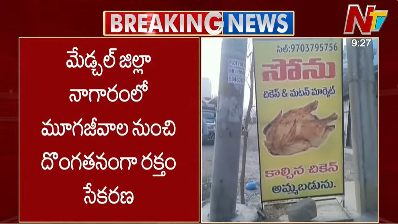 Medchal Malkajgiri: మూగజీవాల నుంచి రహస్యంగా రక్తం సేకరిస్తున్న ముఠా గుట్టురట్టు.. దాన్ని ఏం చేస్తారంటే?