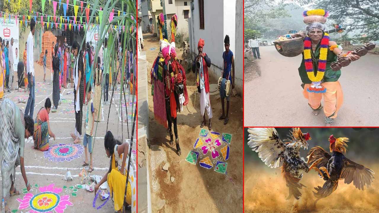 Sankranti Festival: తెలుగు రాష్ట్రాల్లో సంక్రాంతి సందడి.. రంగవల్లులు, డూడూ బసవన్నల విన్యాసాలు..
