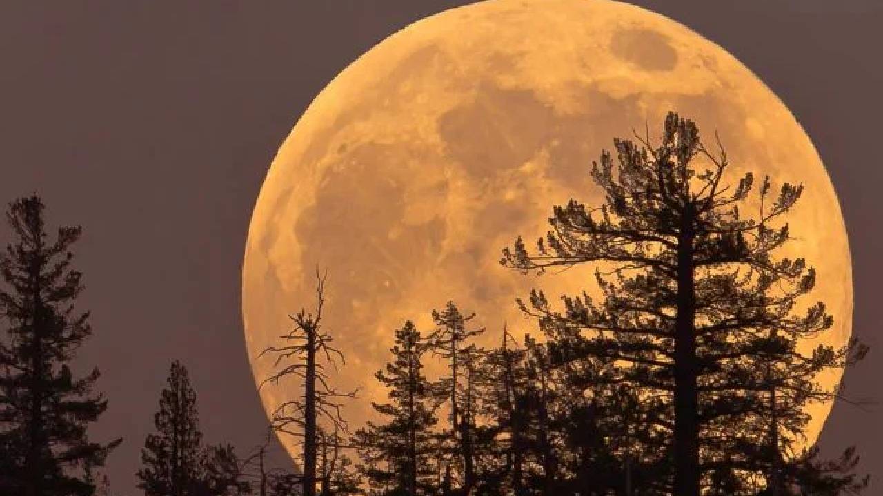 supermoon 2026 wolf moon to appear bigger and brighter on january 3 heres why