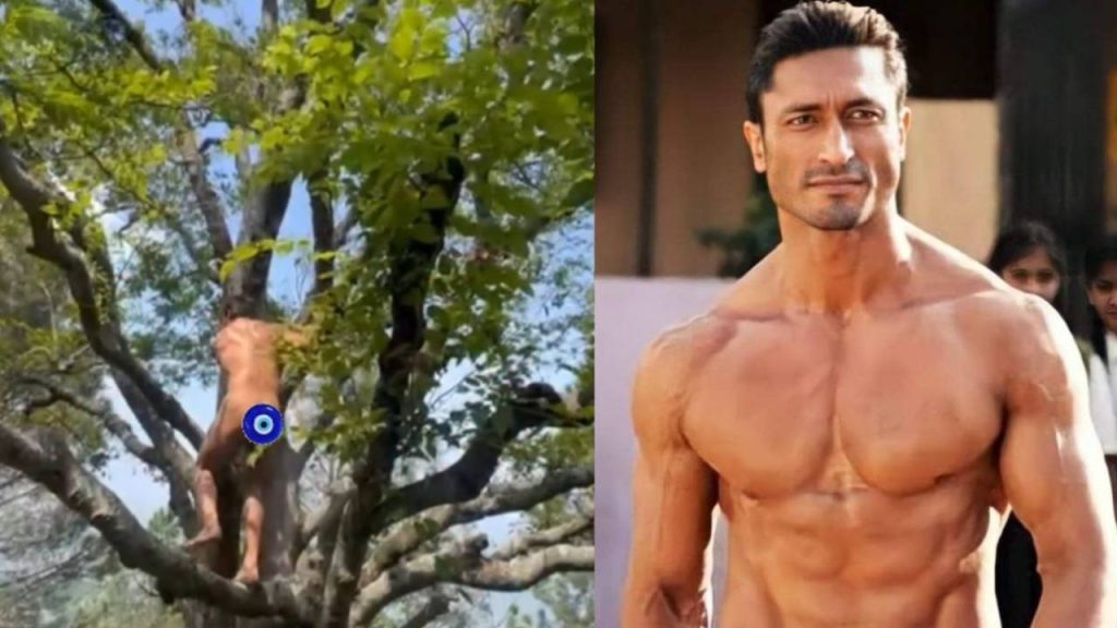 Vidyut Jammwal Nude News