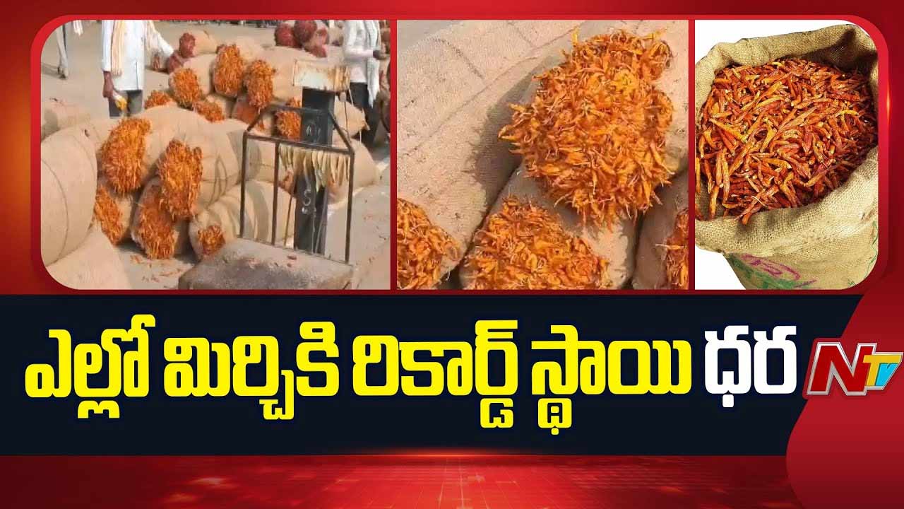 Yellow Chilli  : ఎల్లో మిర్చికి రికార్డు స్థాయిలో ధర