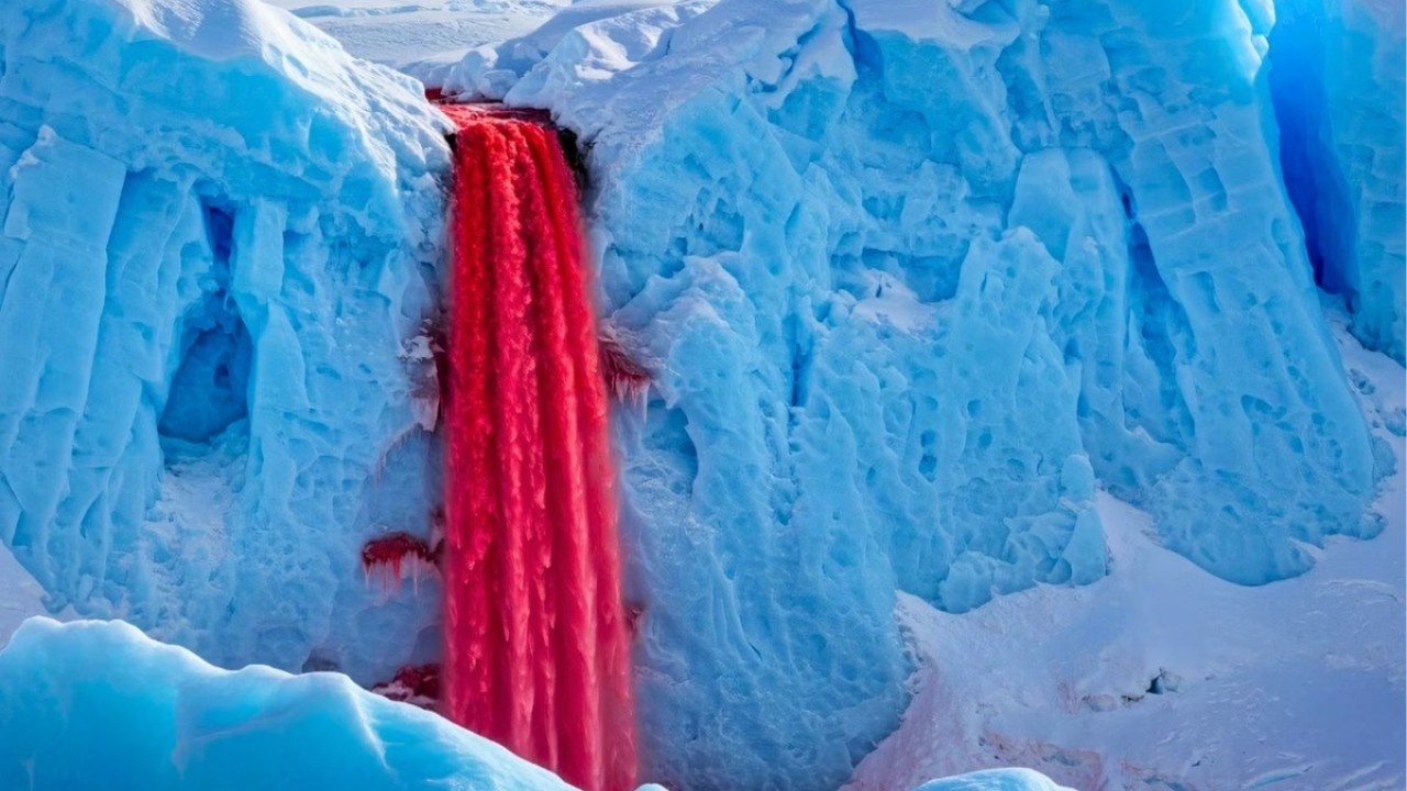 blood falls antarctica the mysterious blood red waterfall explained