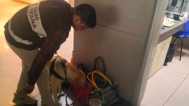 Delhi: ఆర్మీ, ఎయిర్‌‌ఫోర్స్ స్కూళ్లకు బాంబ్ బెదిరింపులు.. డాగ్ స్క్వాడ్స్‌తో తనిఖీలు