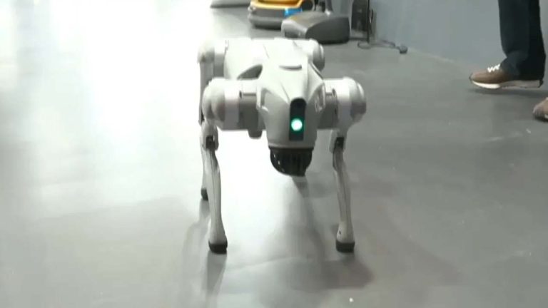 Galgotias University: గల్గోటియాస్ యూనివర్సిటీ చైనా రోబో డాగ్ వివాదంతో.. ‘మేక్ ఇన్ ఇండియా’కు గట్టి దెబ్బ..!