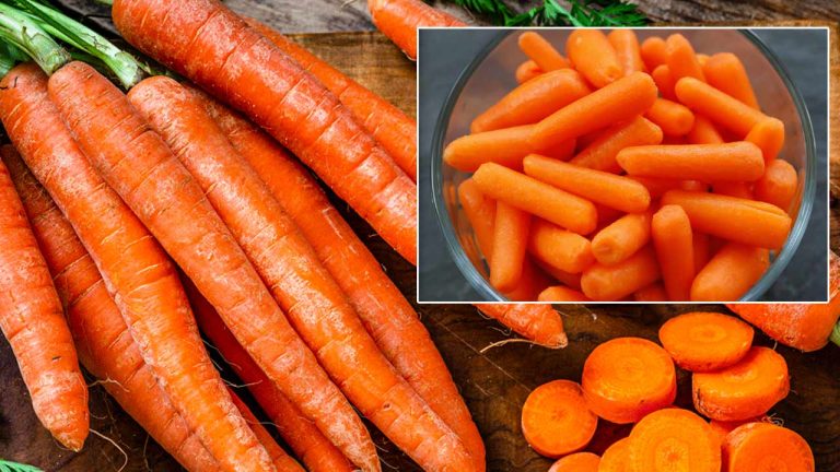How to Store Carrot: ఇలా చేస్తే చాలు.. వారాలు గడిచినా క్యారెట్లు ఫ్రెష్‌గా ఉంటుంది..!