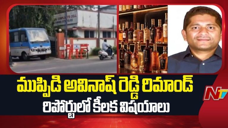 Liquor Scam: లిక్కర్‌ కేసులో అవినాష్ రెడ్డికి రిమాండ్‌.. రిమాండ్‌ రిపోర్ట్‌లో సంచలన విషయాలు!