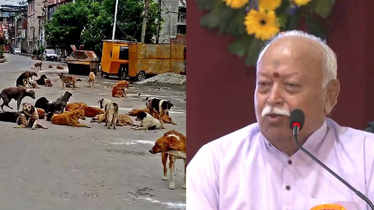 mohan bhagwat key comments on street dogs