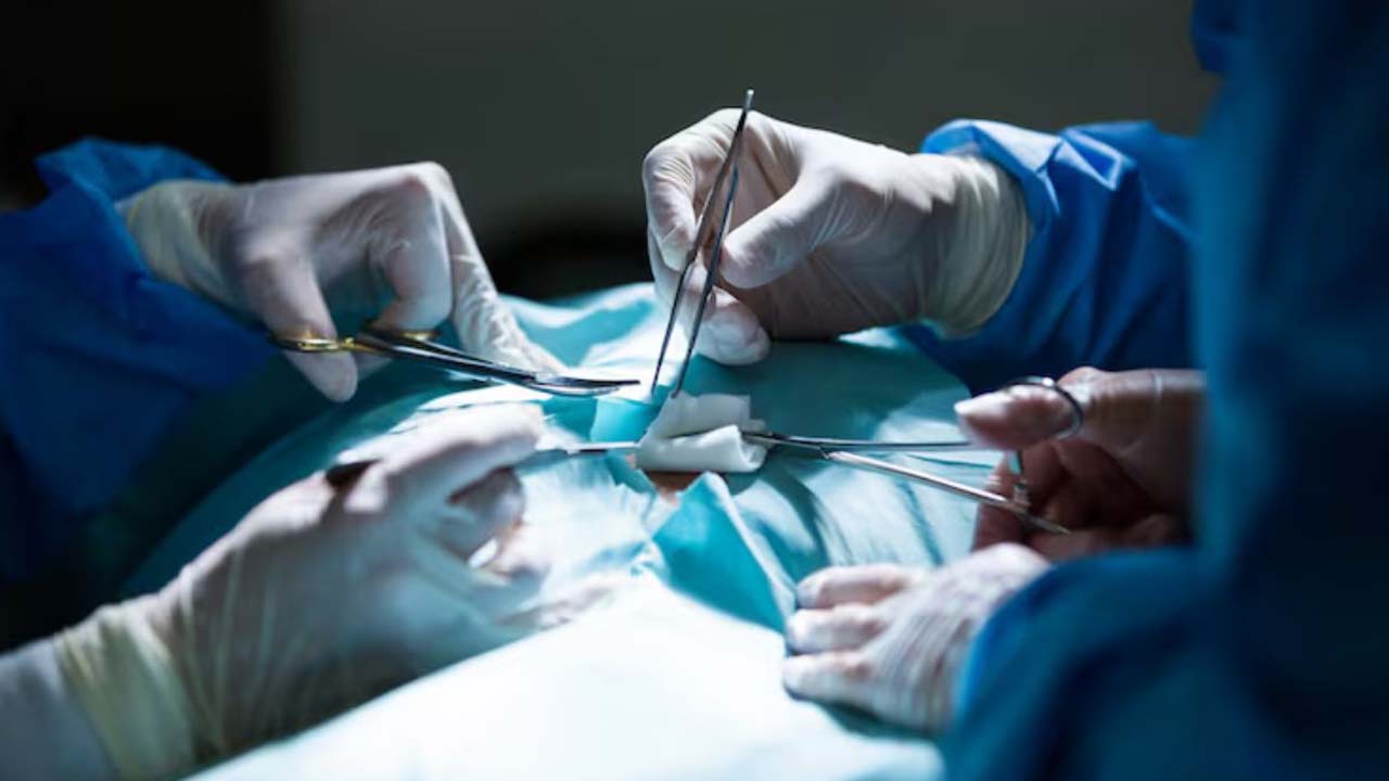 Organs: మానవునిలోని 80 అవయవాలలో 5 మాత్రమే ముఖ్యమైనవి.. మిగిలిన 75 అవయవాలు లేకపోయినా శ్వాస ఆగదట!