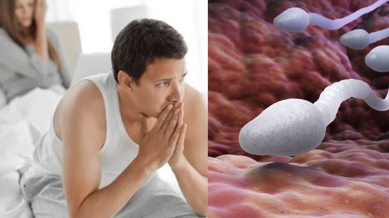 Sperm Count Warning: ఇలాంటి పనులు చేస్తున్నారా! అయితే మీ మగతనం డేంజర్⁭లో పడినట్లే!