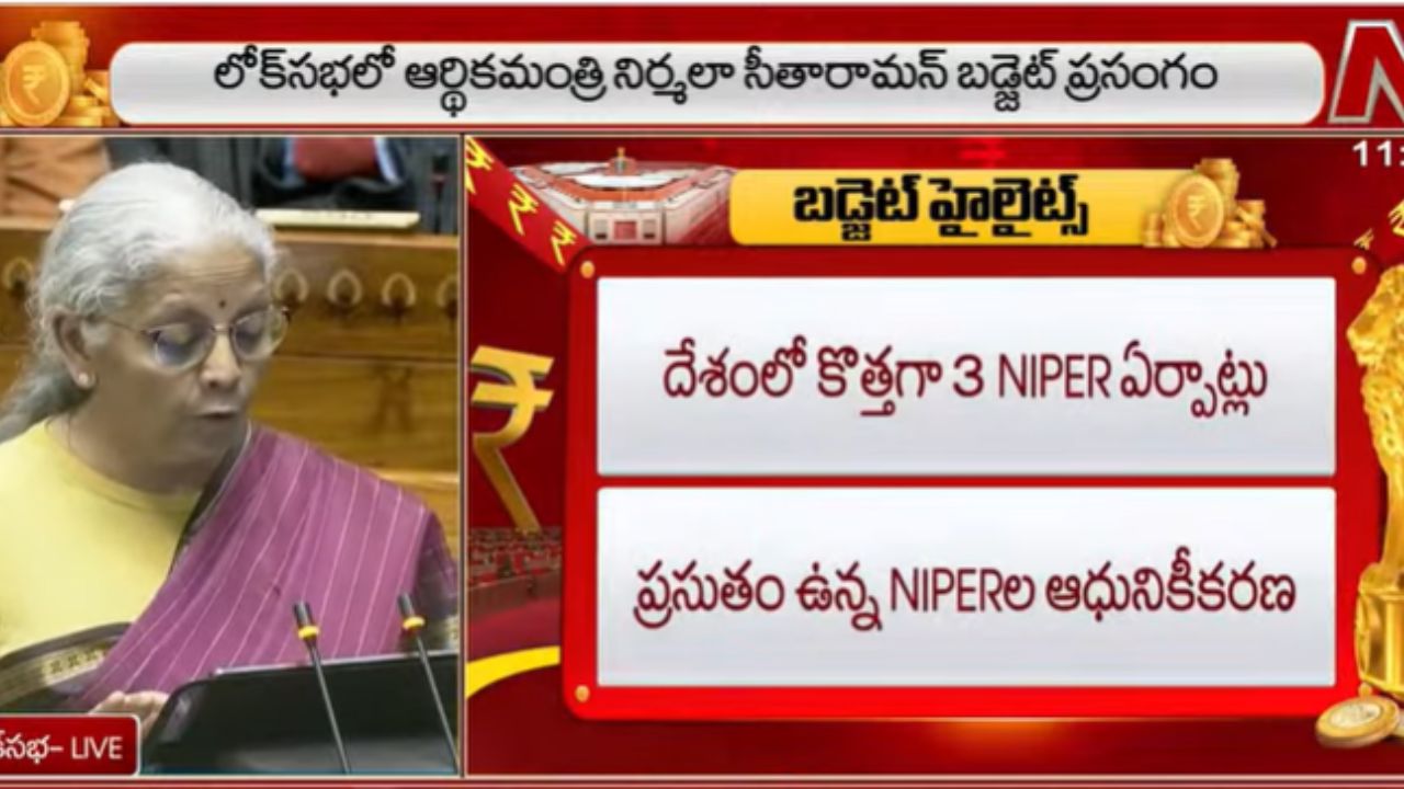 Union Budget 2026: వికసిత భారత్ లక్ష్యంగా బడ్జెట్.. కీలక ప్రకటనలు ఇవే!