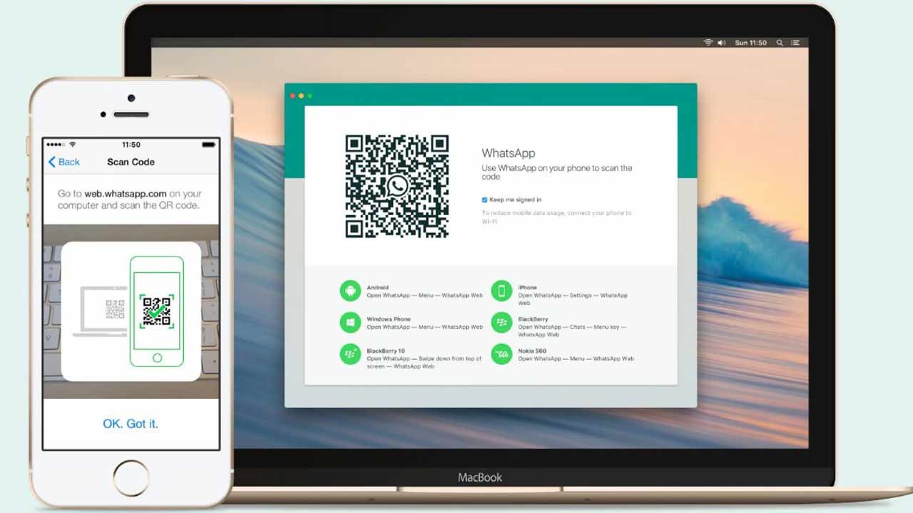 whatsapp web voice video calling feature launch