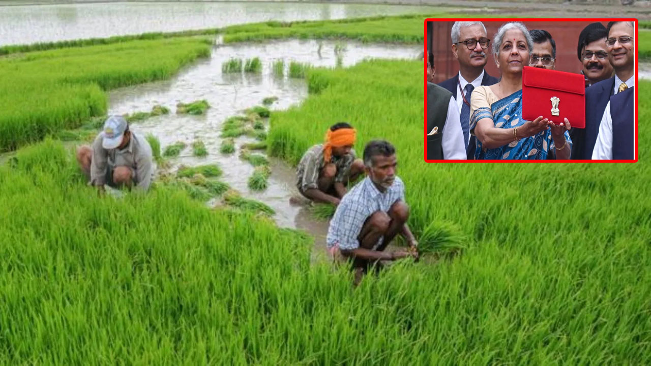Union Budget 2026: రైతుల చేతికి AI ఆయుధం.. వ్యవసాయం కోసం కొత్త పథకం!