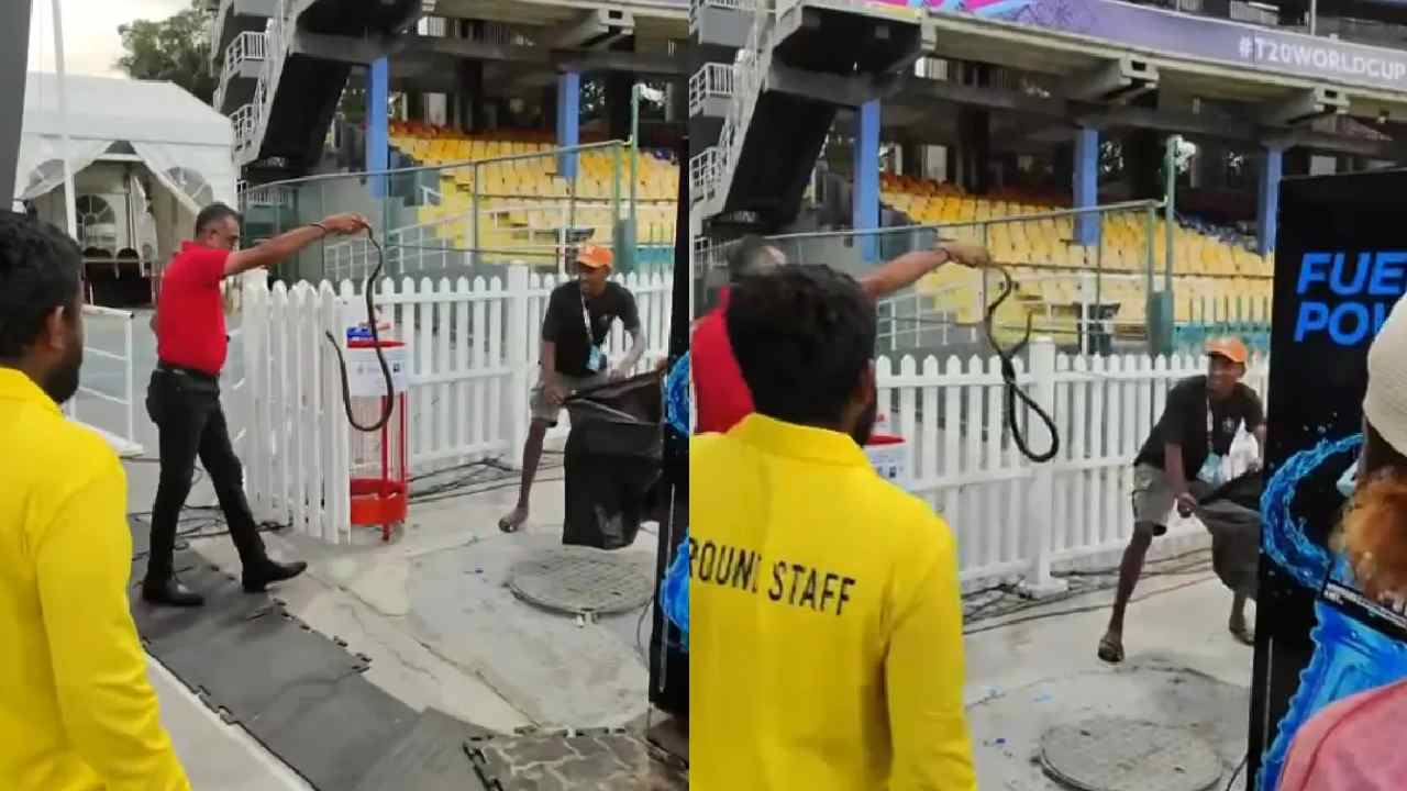 India vs Pakistan Match:  పాక్ డగౌట్‌లో పాము.. వీడియో వైరల్..