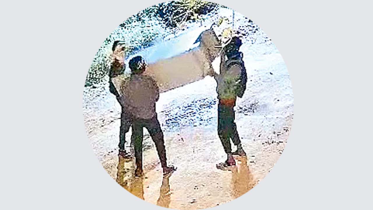 Kamareddy: ఎంతకు తెగించార్రా.. నగలు తీసేందుకు సమయం లేక.. ఏకంగా బీరువానే ఎత్తుకెళ్లిన దొంగలు