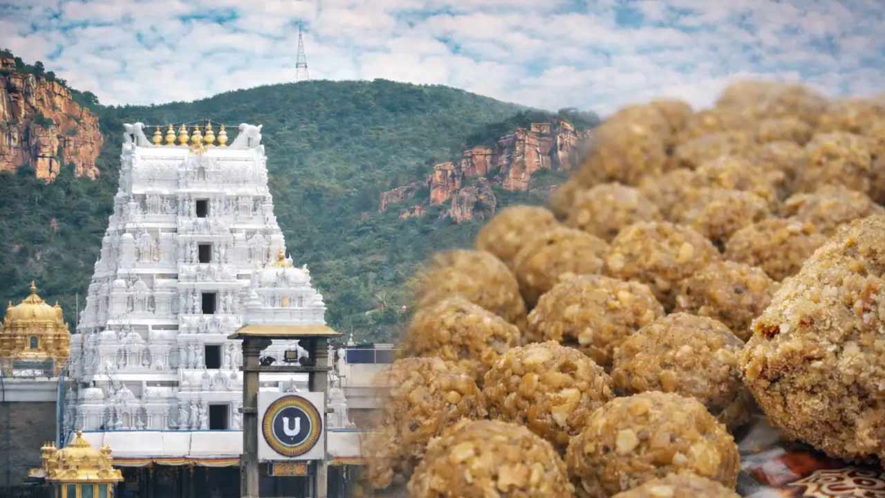 ed probe hawala angle in ttd laddu case rs 234 crore fund diversion