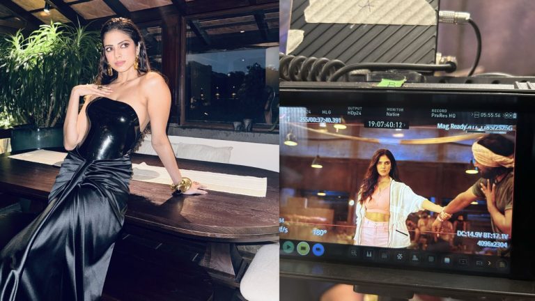 Malavika Mohanan : రూమర్లకు మాళవిక మోహనన్ చెక్.. ‘ది రాజా సాబ్’ స్టంట్స్ నావే!