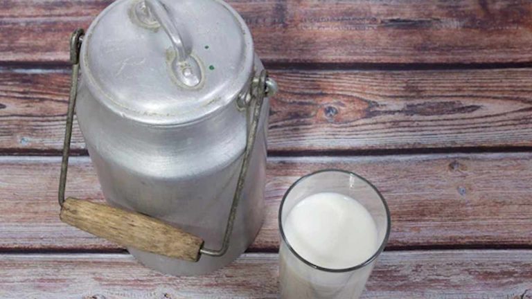 Adulterated Milk: రాజమండ్రిలో కల్తీ పాలతో నలుగురు మృతి.. వెలుగులోకి సంచలన విషయాలు!