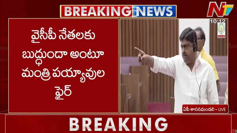 TDP vs YSRCP: శాసన మండలిలో గందరగోళం.. వైసీపీ నేతలకు బుద్ధుందా అంటూ మంత్రి ఫైర్..