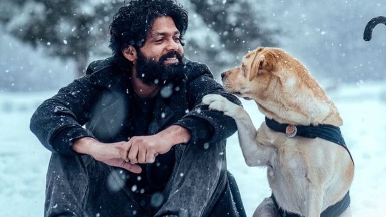 Rakshit Shetty : వేర్ ఈజ్ రక్షిత్ శెట్టి…? సినిమాలు ఎందుకు చేయడం లేదు