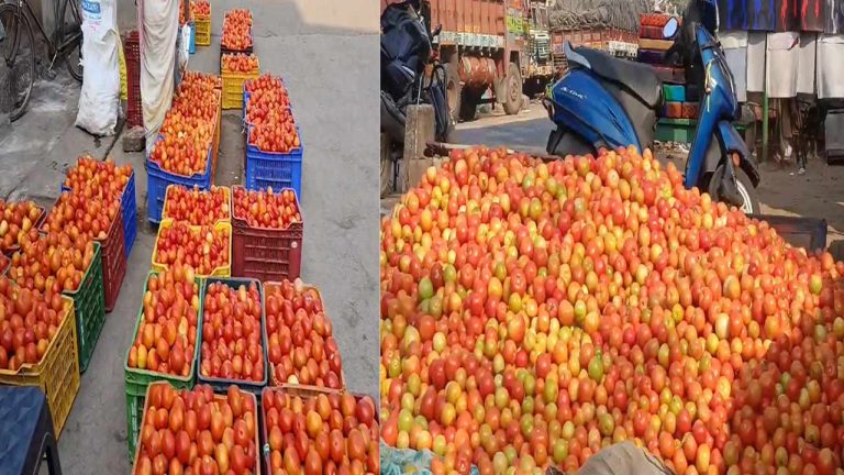 Tomato Price Crash: భారీగా పతనమైన టమాటా ధర.. తీవ్ర నిరాశలో రైతన్నలు..