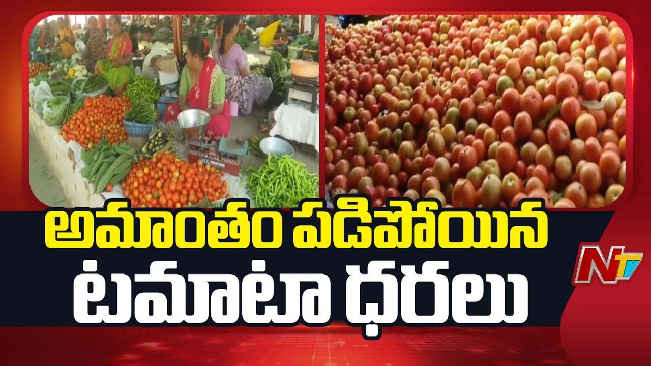 tomato market price fall telugu states farmers loss