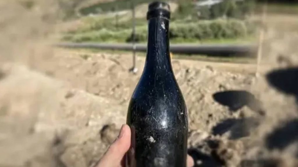 Wine Bottle
