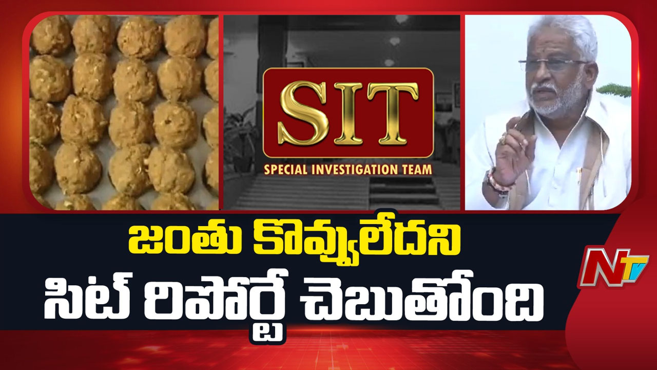 yv subba reddy questions sit report animal fat laddu controversy