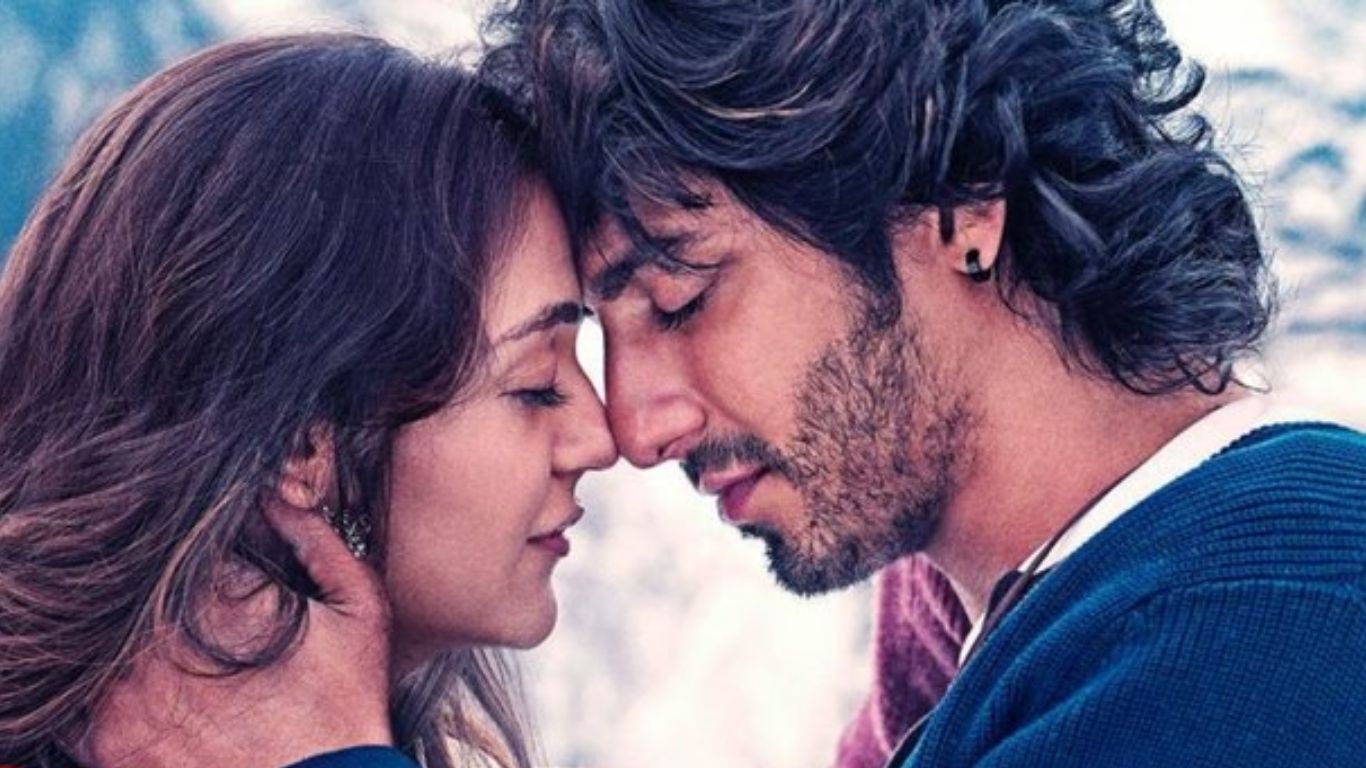 Bollywood : బాలీవుడ్‌లో గతేడాది అతి పెద్ద సర్‌ప్రైజ్ హిట్ సినిమా ఇదే