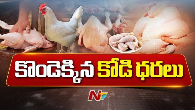 Chicken Price Hike: నాన్‌వెజ్ ప్రియులకు భారీ షాక్.. తెలుగు రాష్ట్రాల్లో రికార్డు స్థాయికి చికెన్ ధరలు!