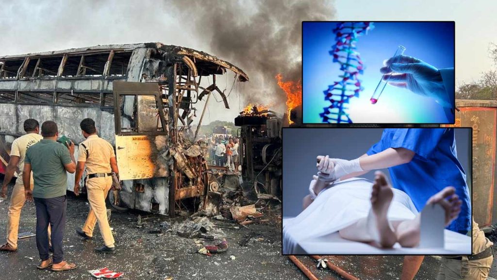 Dna Tests For 14 Deceased A