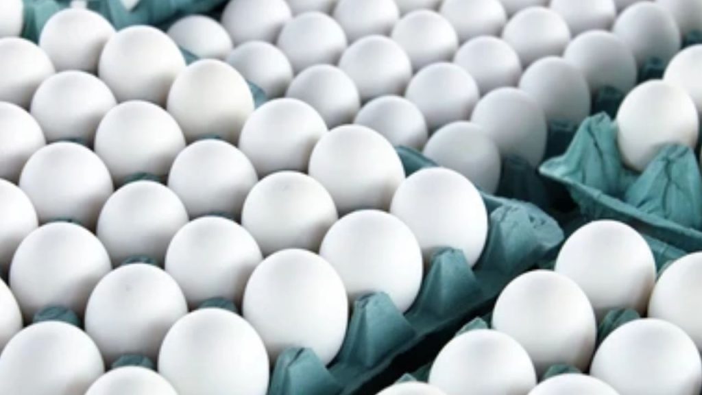 Egg Price Drops In Ap