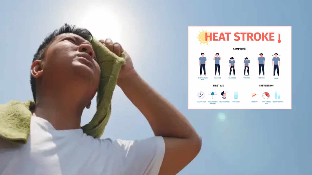 Heat Stroke Warning Signs: వడదెబ్బ సంకేతాలు ఇవే.. నిర్లక్ష్యం చేస్తే ప్రాణాలకే ముప్పు..